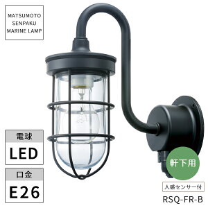 {DƖ }v RZT[QtWubN LEDvt RSQ-FR-B kCEEzs ysz