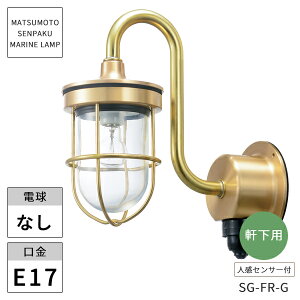 {DƖ }v ZT[GtWS[h NA[h SG-FR-G kCEEzs ysz