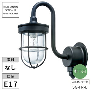 {DƖ }v ZT[GtWubN SG-FR-B kCEEzs ysz