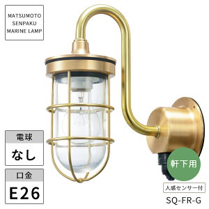 {DƖ }v ZT[QtWS[h NA[h SQ-FR-G kCEEzs ysz