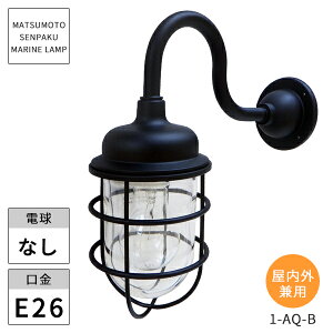 {DƖ }v 1ANACgubN 1-AQ-B kCEEzs ysz