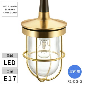 {DƖ }v p R1^_CjOCgS[h LEDvt R1-DG-G kCEEzs ysz