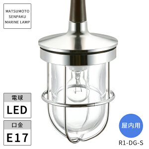 {DƖ }v p R1^_CjOCgVo[ LEDvt R1-DG-S kCEEzs ysz