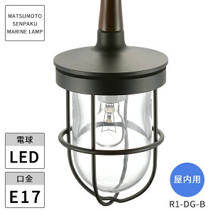 {DƖ }v p R1^_CjOCgubN LEDvt R1-DG-B kCEEzs ysz