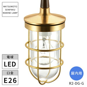 {DƖ }v p R2^_CjOCgS[h LEDvt R2-DG-G kCEEzs ysz