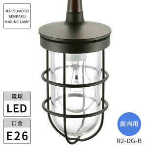 {DƖ }v p R2^_CjOCgubN LEDvt R2-DG-B kCEEzs ysz