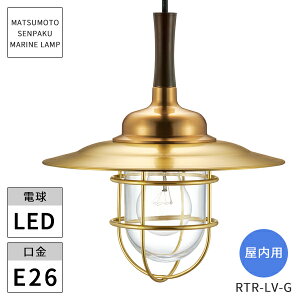 {DƖ }v p R݉rOCgS[h LEDvt RTR-LV-G kCEEzs ysz