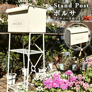 y10/24 20:00` 5%N[|z|Xg X^h|Xg {T AeB[NuE/zCgXփ|Xg [{bNX  ˌėp ^ k V u^ ̓