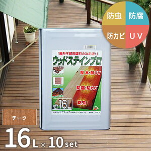 [10ʃZbg] ؍ یh EbhXeCv 16L `[N ؕ h kCEEʓr [͂@l] ysz