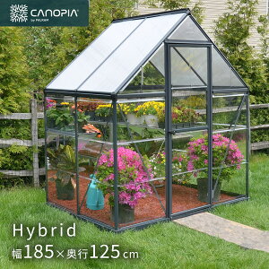  p nCubh 6×4 O[ 185×s125cm O[nEX Palram Canopia kC+3000~ Eʓr ysz