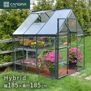  p nCubh 6×6 O[ 185×s185cm O[nEXPalram Canopia kC+3000~ Eʓr ysz