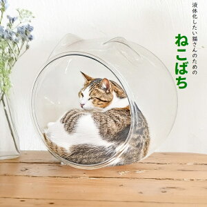 L ˂΂ L̋ ^ NbVt (cat_catear) ybg  LbgnEX  L kCEEzs ysz