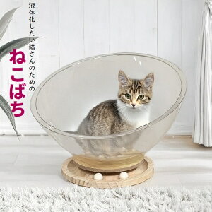 L ˂΂ L̋ x[Xt (cat_catbowl) ybg  LbgnEX  kCEEzs ysz