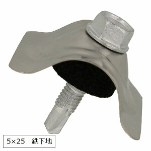 XeXSgrX Spnij5×25 100{×2܃Zbg |Jgp ysz Ezs