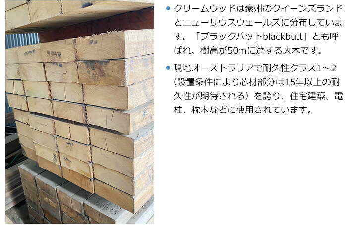 楽天市場】枕木 豪州産 新品 高耐久 ユーカリ クリームウッド 100×約