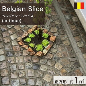 ~ Ώ yCrOXg[ xM[Y AeB[N xWEXCX ` 1 (75.0kg) yv-׉`z ʓr zs ysz