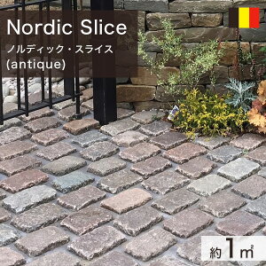 ~ Ώ yCrOXg[ xM[Y AeB[N mfBbNEXCX 1 (75.0kg) yv-׉`z ʓr zs ysz