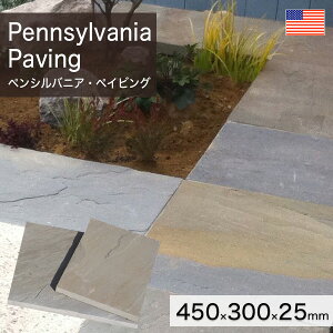 ~ yCsOXg[ AJY VR yVojAEyCrO 1Pi (450×300×25) (10kg) yv-׉낵`z ʓr zs ysz