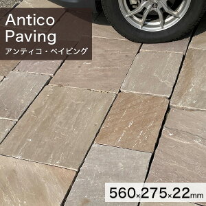 ~ yCsOXg[ ChY VR AeBREyCrO 1Pi (560×275×22) (8kg) yv-׉낵`z ʓr zs ysz