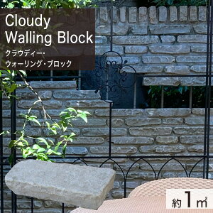 ϐ ChY VR NEfB[EEH[OEubN ꕽĕ (250kg) yv-׉낵`z ʓr zs ysz