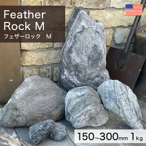 ϐ AJY VR tFU[bN M 1kg yv-׉낵`z ʓr zs ysz