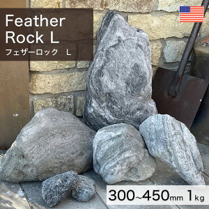 積石 アメリカ産 天然石 フェザーロック L 1kg 【要-荷下ろし手伝い】 ※送料別途見積 離島配送不可 【代引不可】