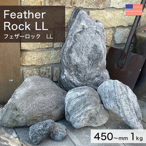 ϐ AJY VR tFU[bN LL 1kg yv-׉낵`z ʓr zs ysz