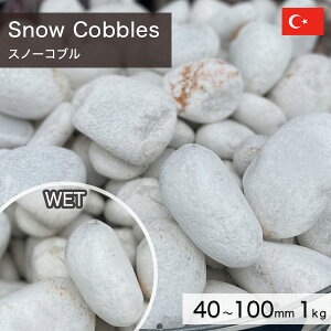  I ʐ gRY VR Xm[Ru i40`100mmj 1kg yv-׉낵`z ʓr zs ysz