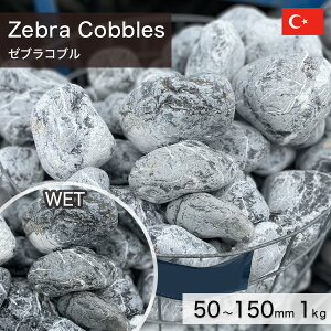  I ʐ gRY VR [uRu i50`150mmj 1kg yv-׉낵`z ʓr zs ysz