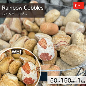  I ʐ gRY VR C{[Ru i50`150mmj 1kg yv-׉낵`z ʓr zs ysz