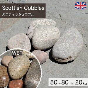  I ʐ CMXY VR XReBbVRu i50`80mmj 20kg/ yv-׉낵`z ʓr zs ysz