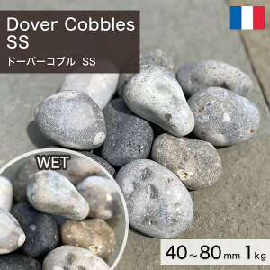  I ʐ tXY VR h[o[Ru i40`80mmj@SS 1kg yv-׉낵`z ʓr zs ysz