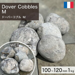  I ʐ tXY VR h[o[Ru i100`120mmj M 1kg yv-׉낵`z ʓr zs ysz