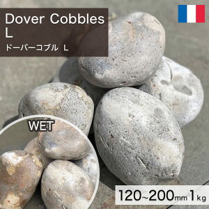  I ʐ tXY VR h[o[Ru i120`200mmj@L 1kg yv-׉낵`z ʓr zs ysz