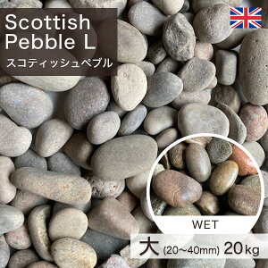 ύ CMXY XReBbVyu (20`40mm) (20.0kg) yv-׉`z ʓr zs ysz