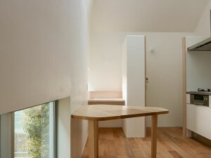 卵漆喰 1缶 (20kg入) 施工可能面積10 (標準1mm厚) 塗料 漆喰 サステナブル エコ 調湿 消臭機能 リノベーション 優しい アップサイクル 環境保護 #dd