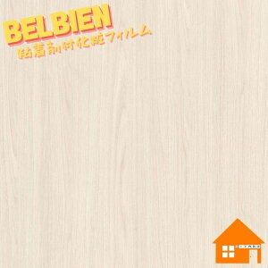 xrA ؖڒ EHibg WR-1100