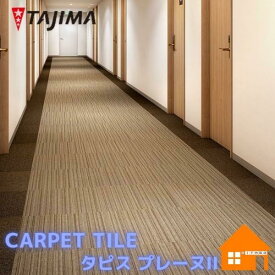 タジマルーフィング　タイルカーペット　タピス プレーヌII ランダムストライプ