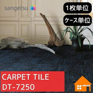 �y�����T���v������z�@�T���Q�c�@�^�C���J�[�y�b�g�@DT-7250�@DT7250�@������@�P�[�X�̔��@�R�[���I�u�o�[�h