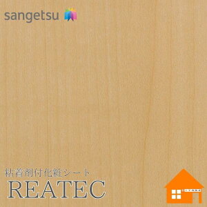 yTvz@TQc@RW-4845@AebN@122cmЁ@SܕtσtB@AebNR[g@GAX[Hi