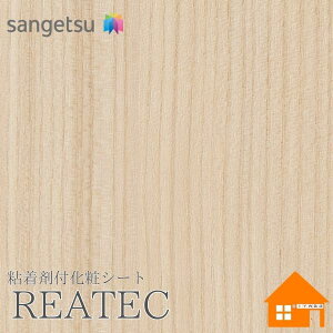 yTvz@TQc@TC-5081@AebN@122cmЁ@SܕtσtB@Ebh