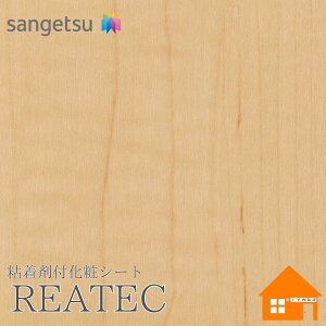 �y�����T���v������z�@�T���Q�c�@TC-5108�@���A�e�b�N�@122cm�Ё@�S���ܕt�����σt�B�����@�E�b�h