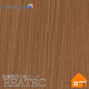�y�����T���v������z�@�T���Q�c�@TC-5657�@���A�e�b�N�@122cm�Ё@�S���ܕt�����σt�B�����@�E�b�h