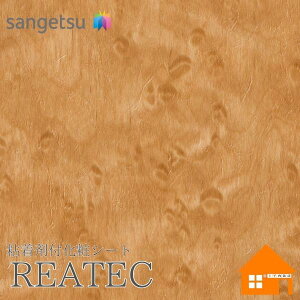 yTvz@TQc@TC-4258@AebN@122cmЁ@SܕtσtB@Ebh