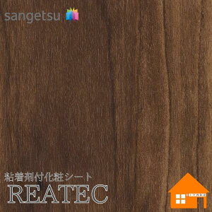 �y�����T���v������z�@�T���Q�c�@TC-5100�@���A�e�b�N�@122cm�Ё@�S���ܕt�����σt�B�����@�E�b�h