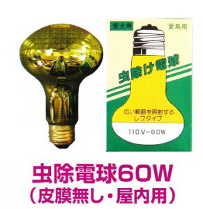 ATq d 60W@햌p@̊tȂ̂ɗDꂽIEp@i084510@110V/60W-R80EE26j