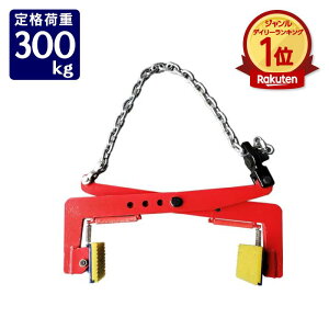 yVLO1 fC[LO ŒH ΍ރNv teBONv v[gNv ؍ރNv J ΍ Nv 300kg 0.3t Nv  ݂ ݋ ͂ 