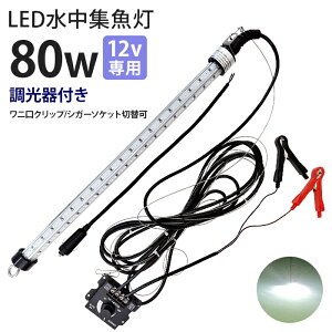 LED W LEDW Cg  12Vp WCg 80w zCg F Cg DCg D ނ ledCg މ VXEiM VEI CJ AW ^`EI AICJ 镰 