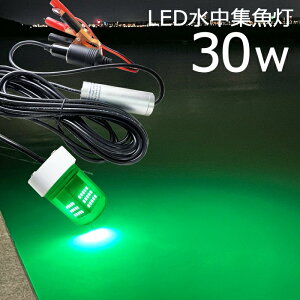 y2ZbgzWCg led W 30w  O[ CJނ D led Cg 炷Ȃ W 12v 24v CJ AW ^`EI LEDW DCg LED Cg C~l[V 