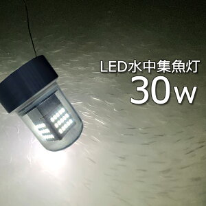 y2ZbgzWCg led W 30w  zCg CJނ D led Cg 炷Ȃ W 12v 24v CJ AW ^`EI LEDW DCg LED Cg C~l[V
